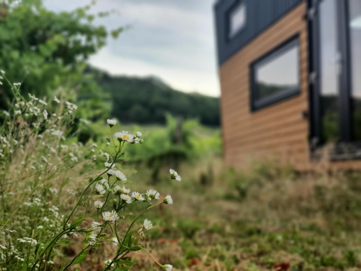Pop Tiny House Balaton Apartment Kaptalantoti Exterior photo